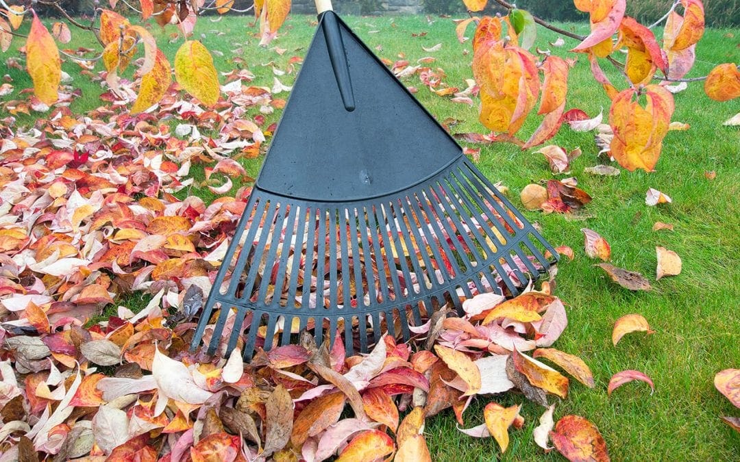 5 Fall Home Maintenance Tips