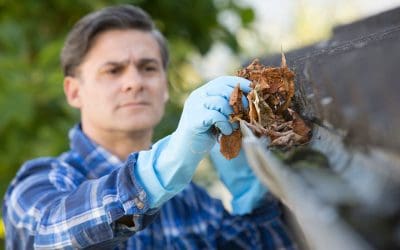 6 Outdoor Spring Maintenance Tasks to Do Before Summer
