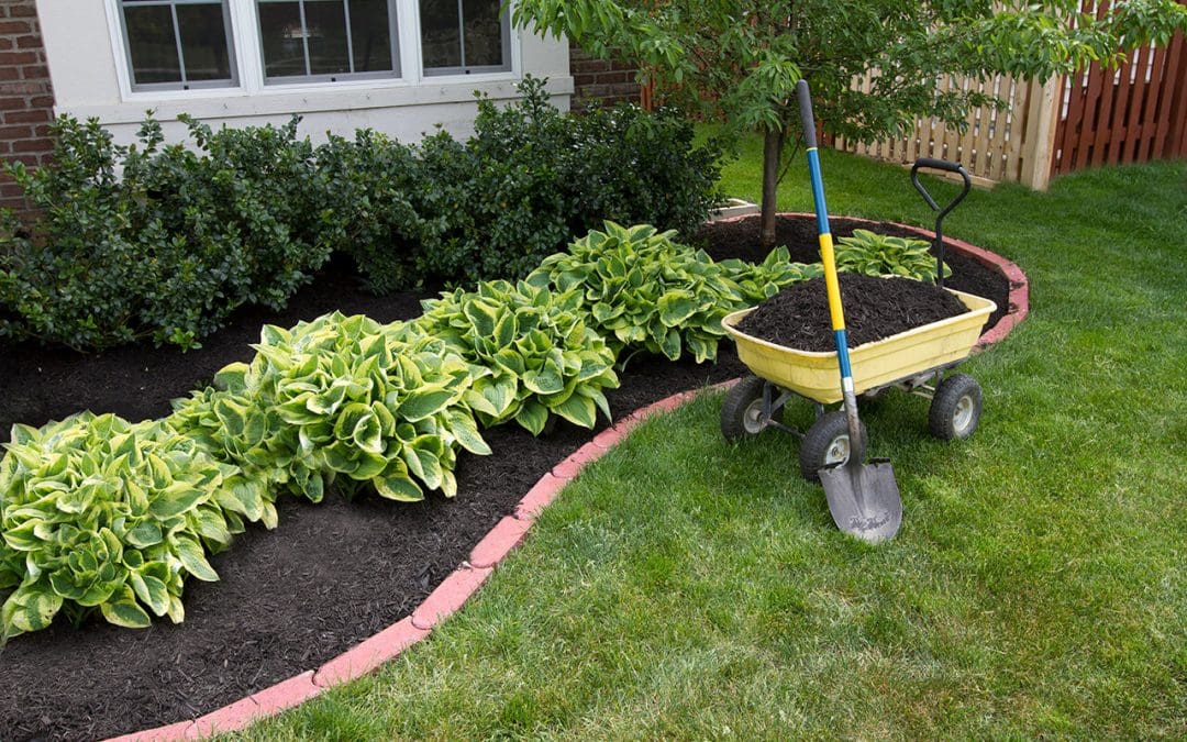 6 Ideas to Create a Low-Maintenance Landscape