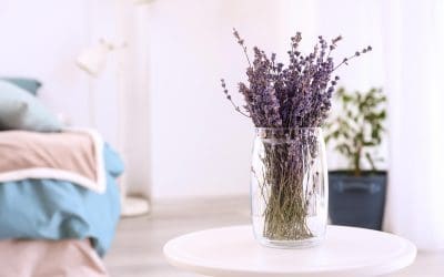 Natural Ways to Make Your Home Smell Good