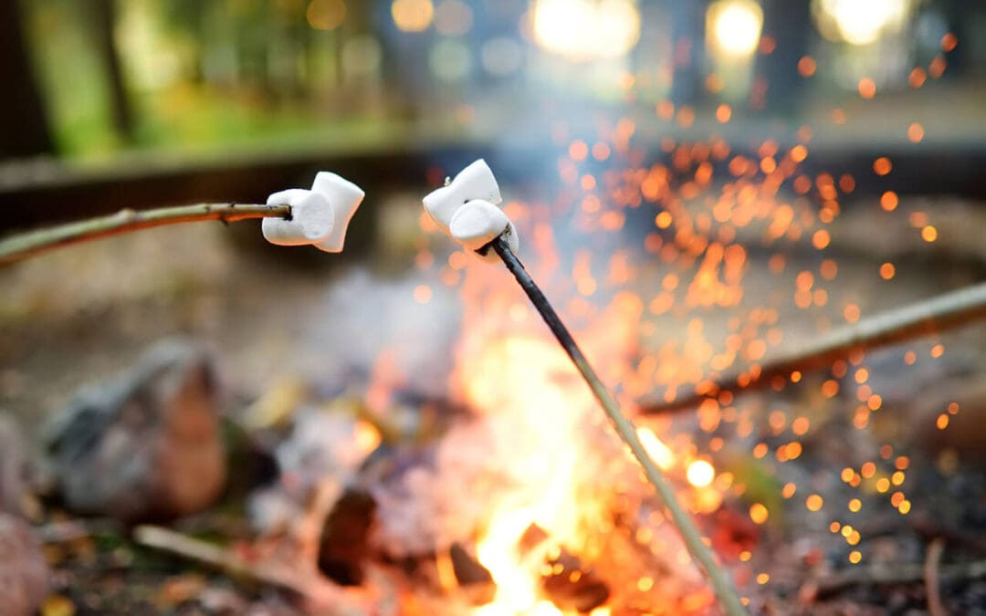 Don’t Get Burned: Essential Fire Safety Tips for Summer